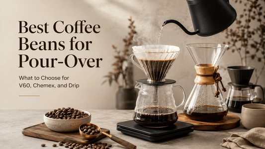 Best Coffee Beans for Pour Over: What to Choose for V60, Chemex, and Drip - Luz Coffee Co