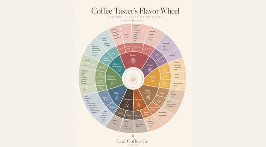 Coffee roast levels guide from Luz Coffee Co