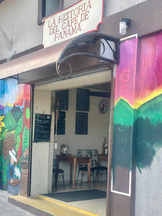 Coffee tasting in Boquete with specialty coffee from Luz Coffee Co