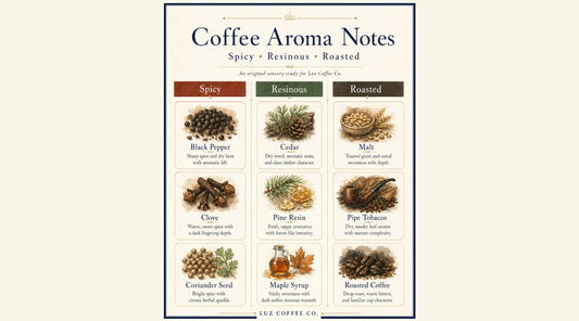 Medium-dark roast coffee guide from Luz Coffee Co