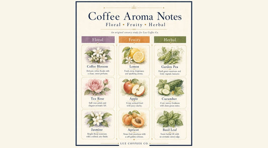 Medium-light roast coffee guide from Luz Coffee Co
