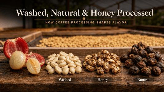 Washed natural and honey processed coffee explained by Luz Coffee Co
