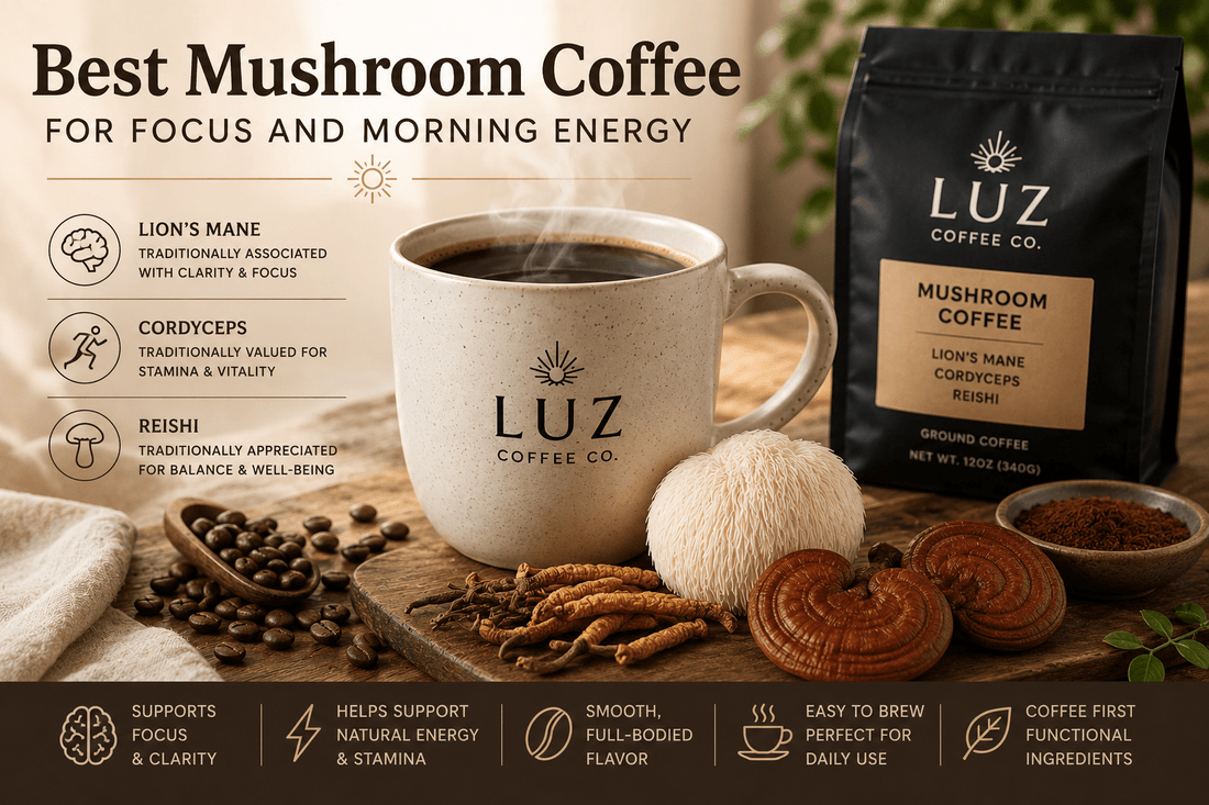 Best Mushroom Coffee for Focus and Morning Energy - Luz Coffee Co