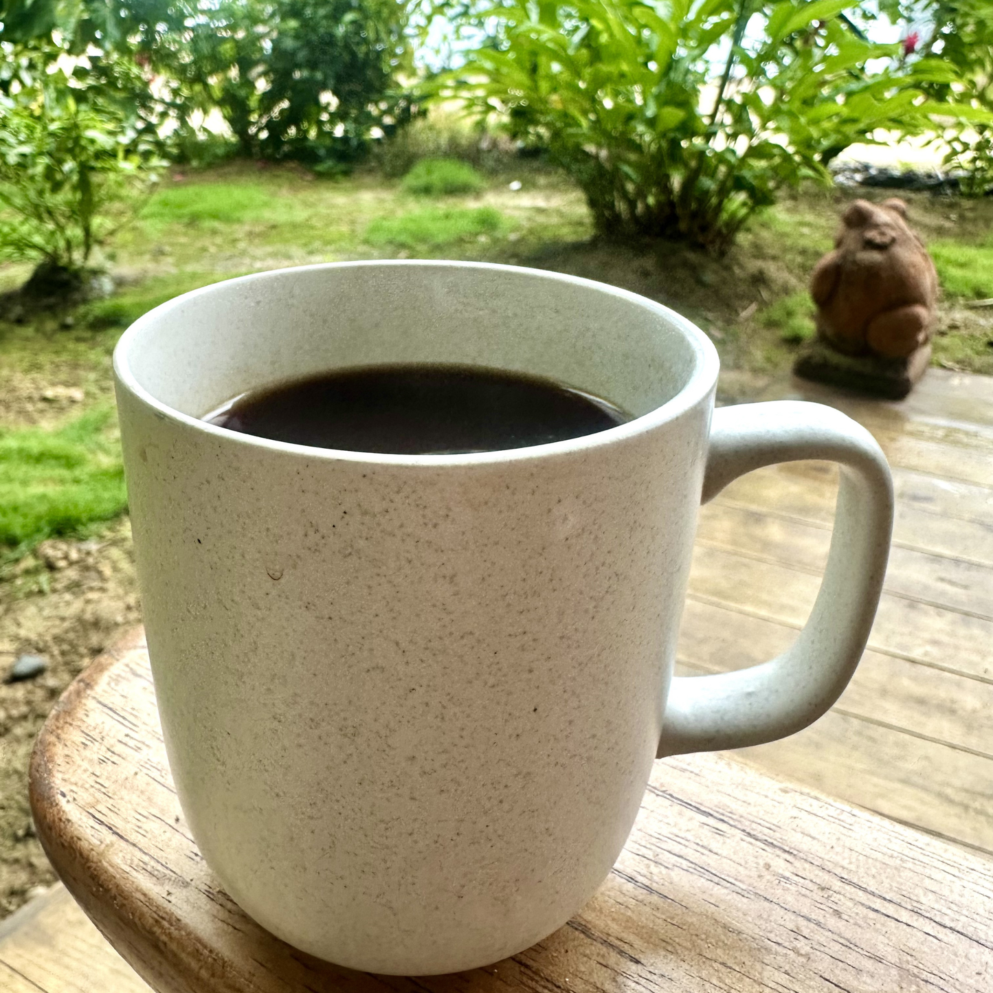 Medium Roast Coffee Blend | Luz Coffee Co