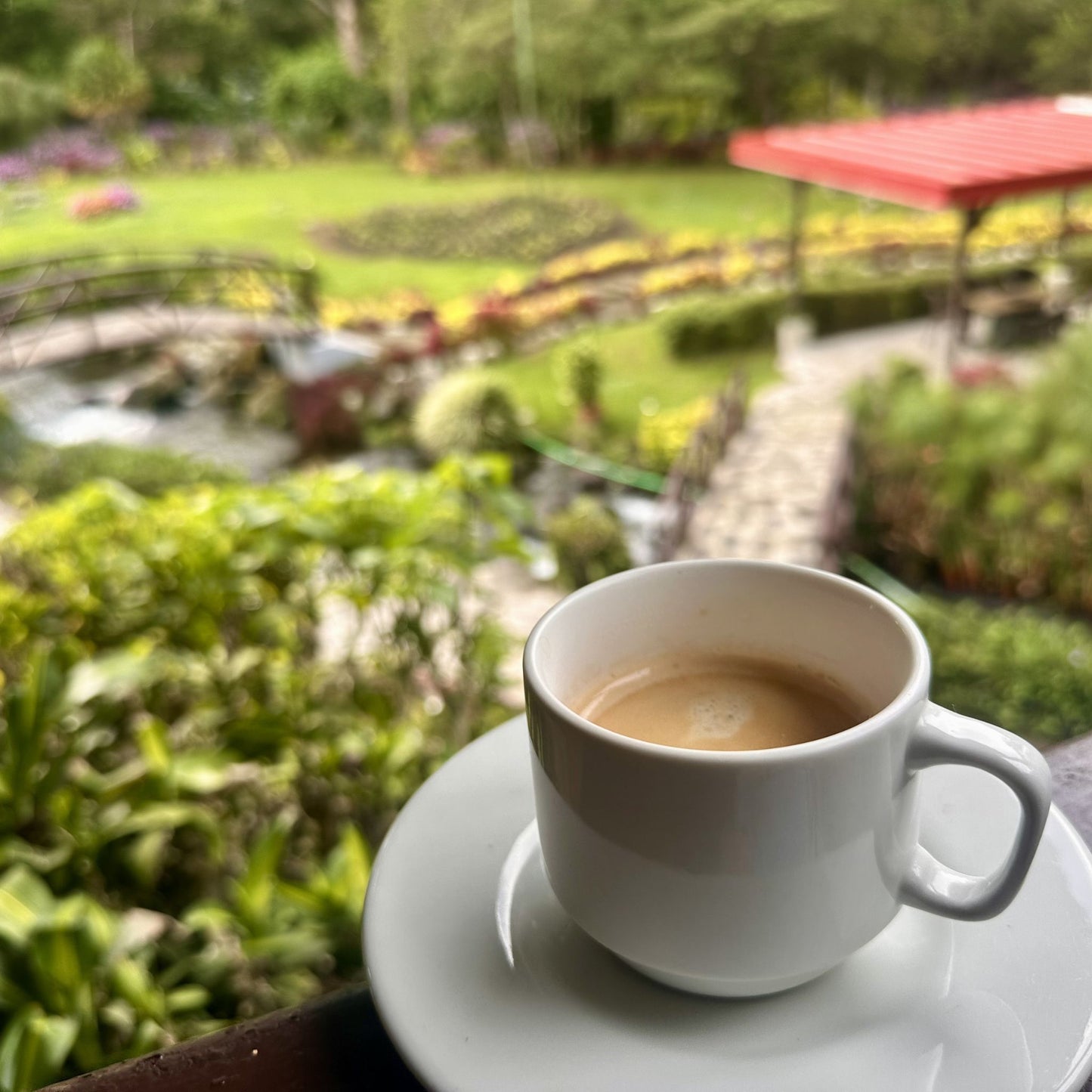 Tanzania Single Origin Coffee | Medium - Light Roast - Luz Coffee Co