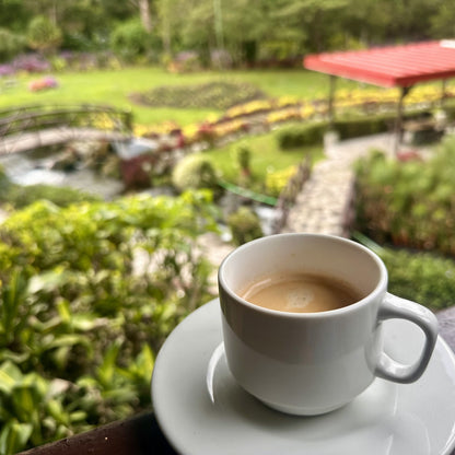 Tanzania Single Origin Coffee | Medium - Light Roast - Luz Coffee Co