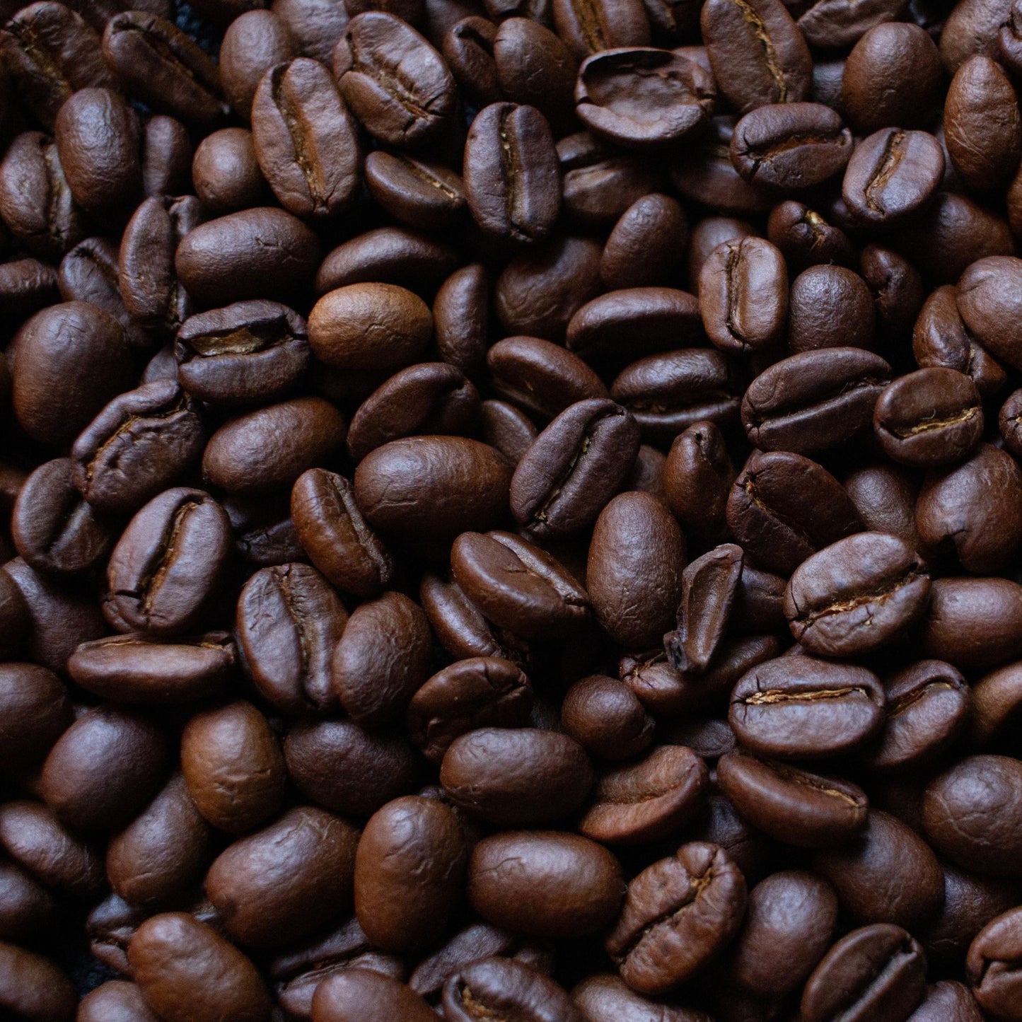 Dark Roast Coffee With Mushrooms | Ground Coffee - Luz Coffee Co