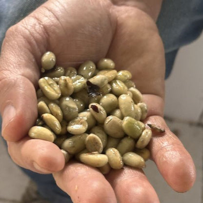Medium roast whole bean coffee from Colombia