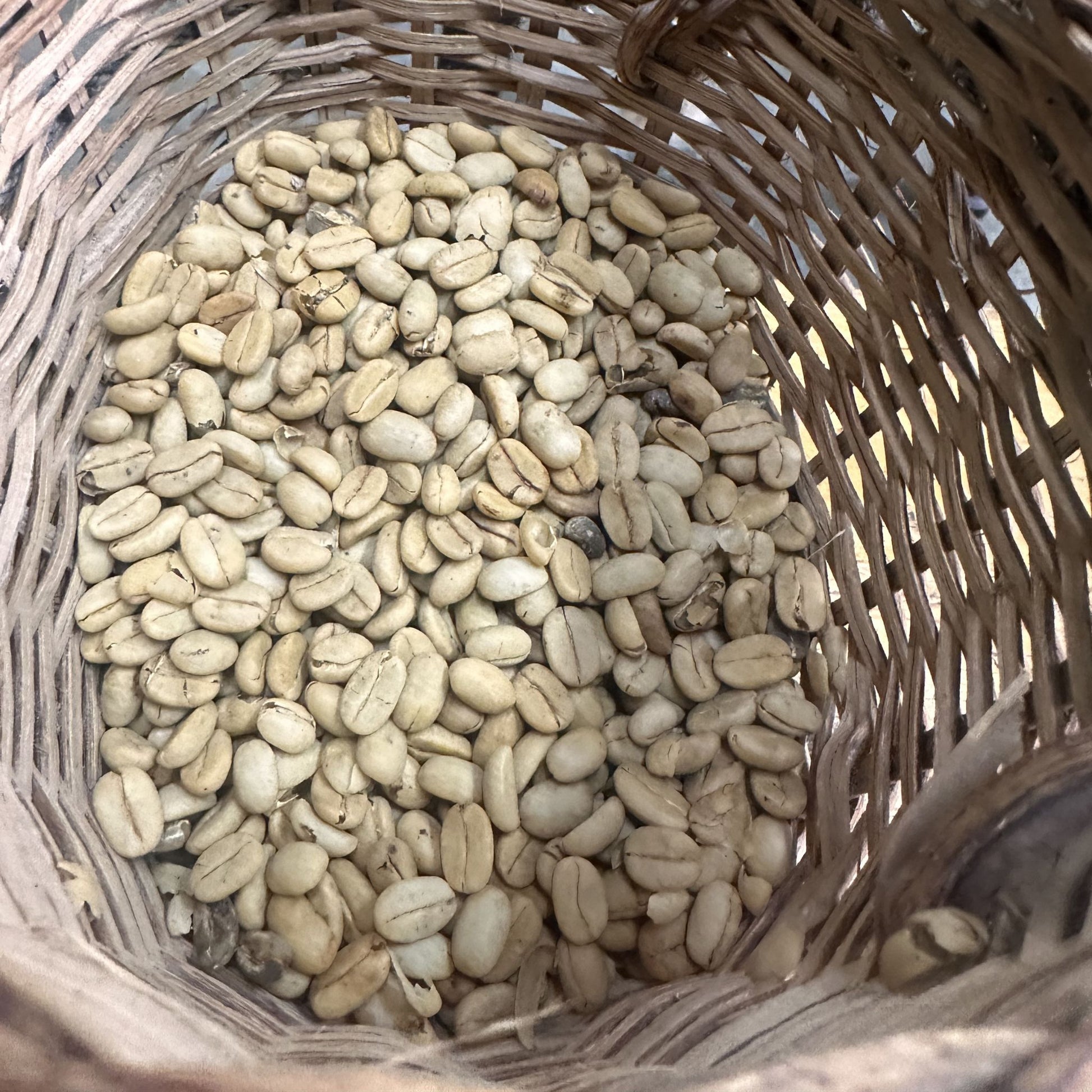 Ethiopian Whole Bean Coffee | Medium Light Roast  Luz Coffee
