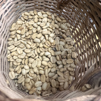 Ethiopian Whole Bean Coffee | Medium Light Roast  Luz Coffee