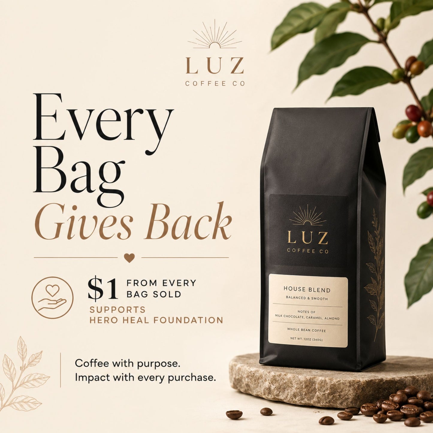 Tanzania Single Origin Coffee | Medium - Light Roast - Luz Coffee Co