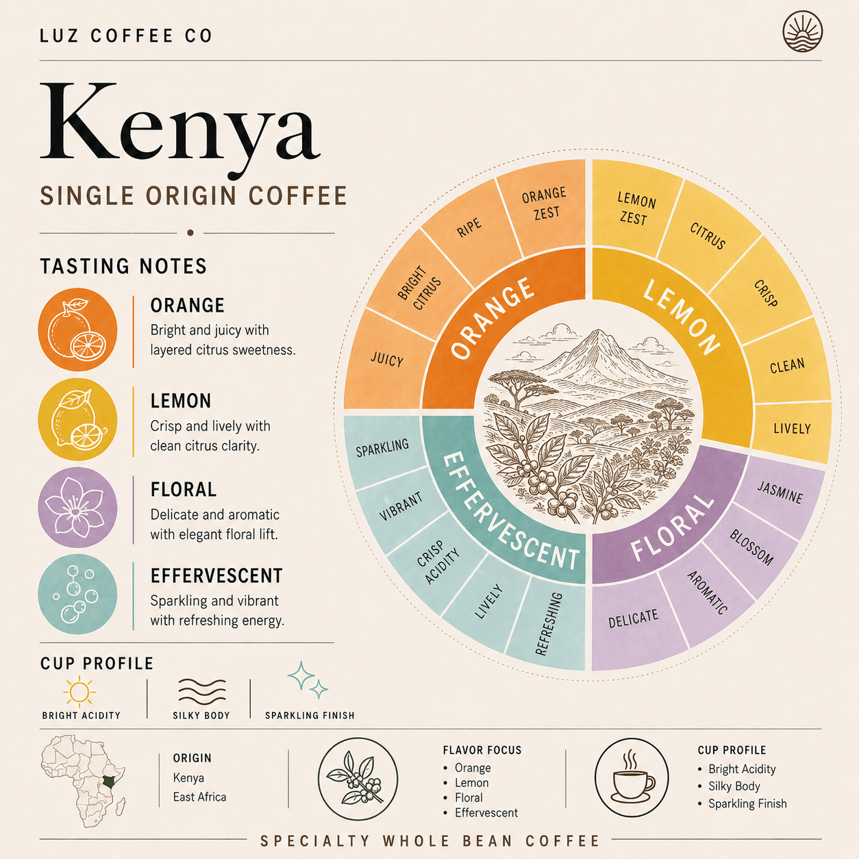 Kenya Single Origin Coffee | Medium - Light Roast - Luz Coffee Co