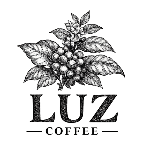 Logo for Luz Coffee with coffee beans and leaves on a white background Luz Coffee Co