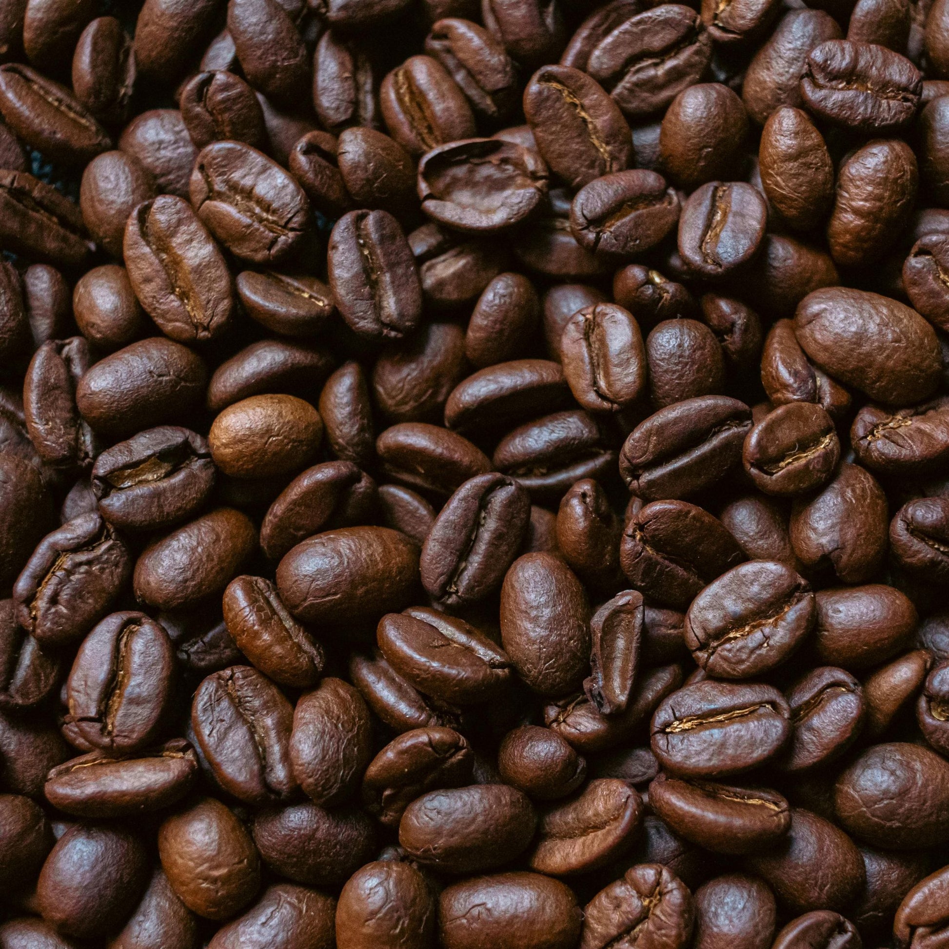 Sumatra Single Origin Coffee | Medium - Dark Roast - Luz Coffee Co