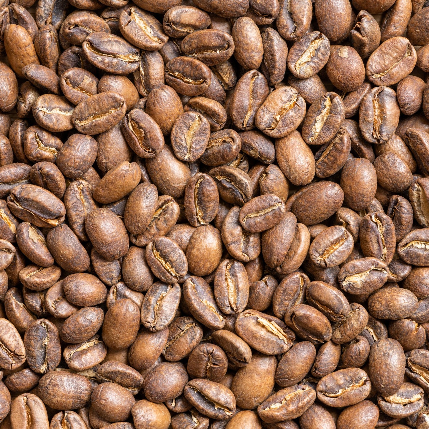 Tanzania Single Origin Coffee | Medium - Light Roast - Luz Coffee Co