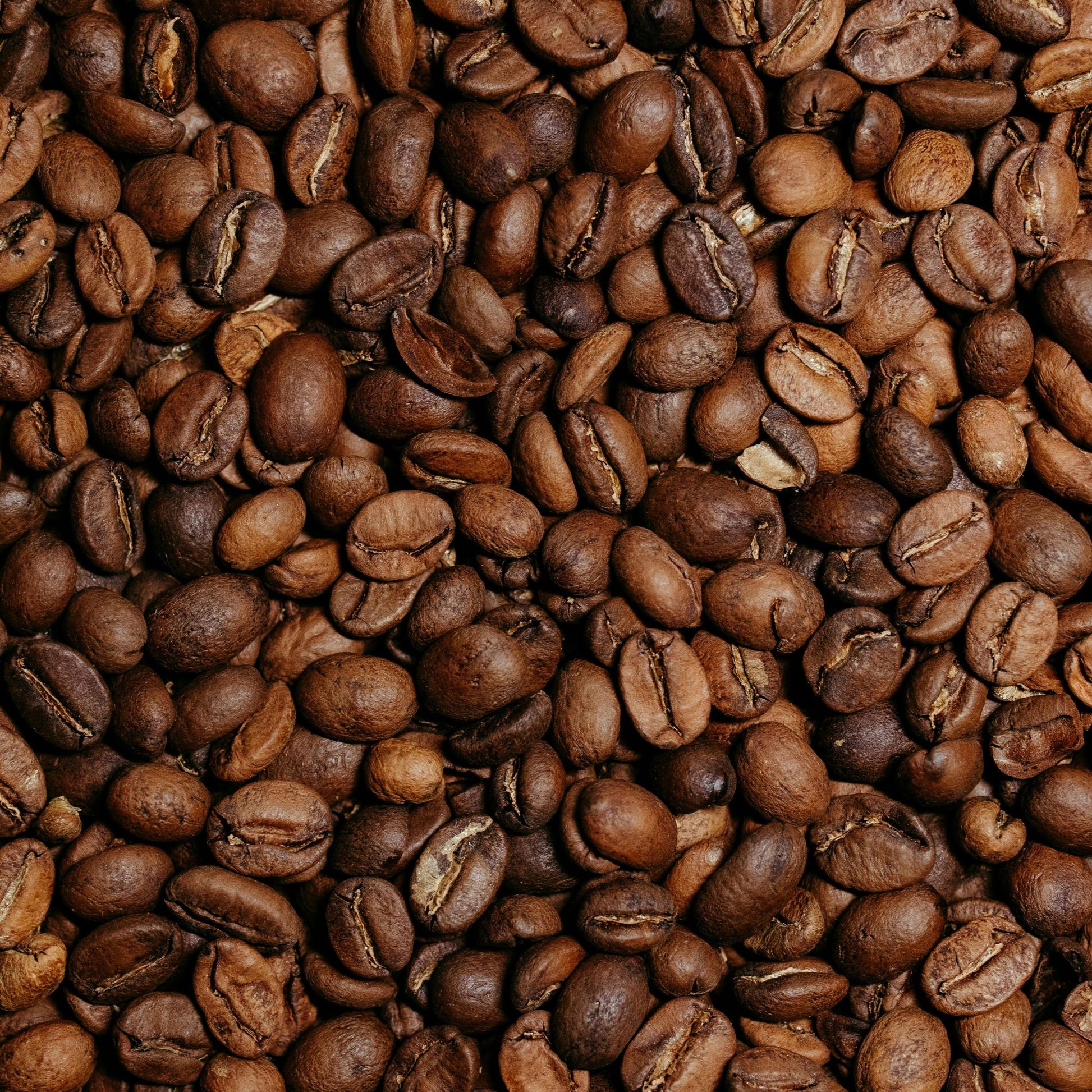 Papua New Guinea Coffee | Medium Roast - Luz Coffee Co