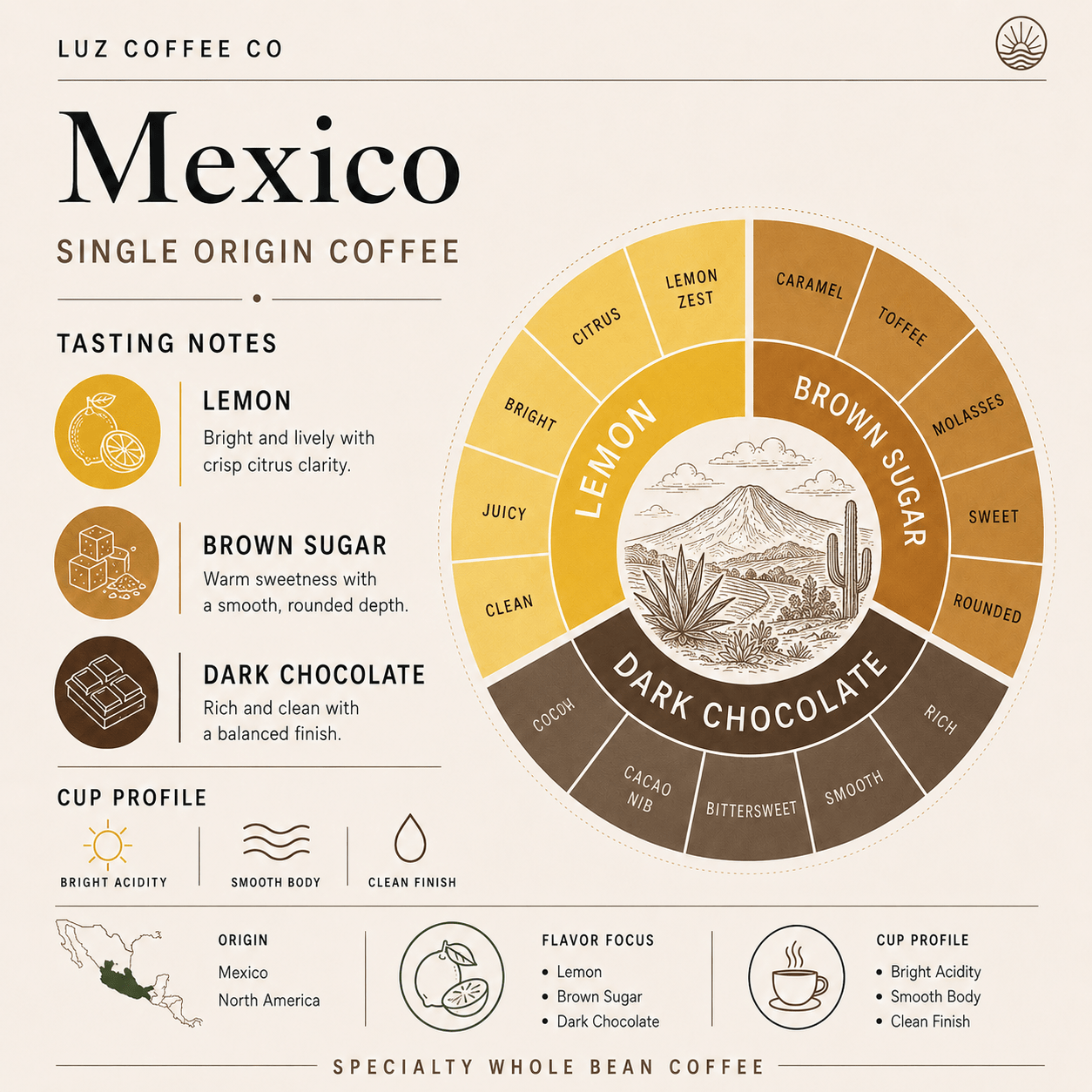Mexico Single Origin Coffee | Medium Roast - Luz Coffee Co