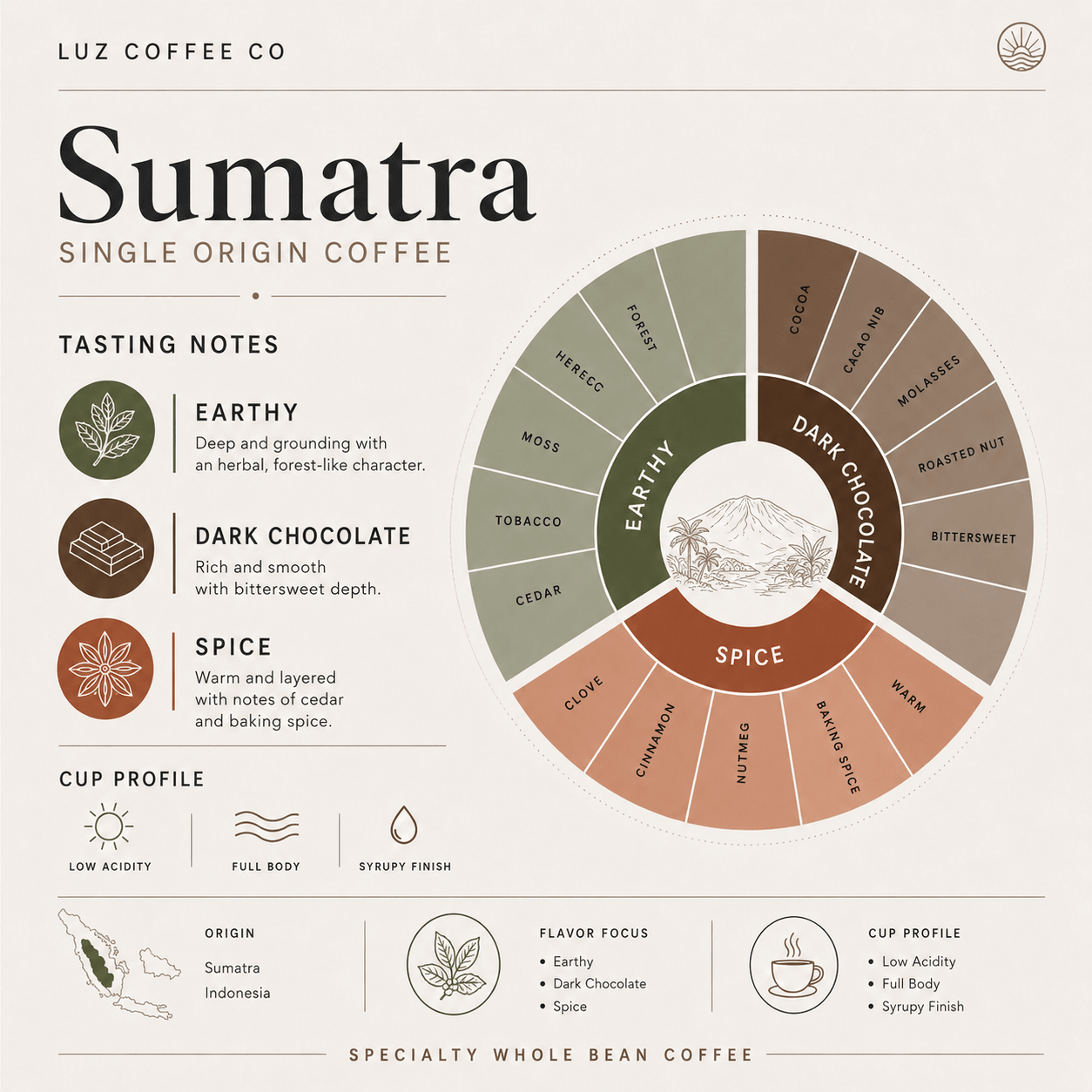 Sumatra Single Origin Coffee | Medium - Dark Roast - Luz Coffee Co