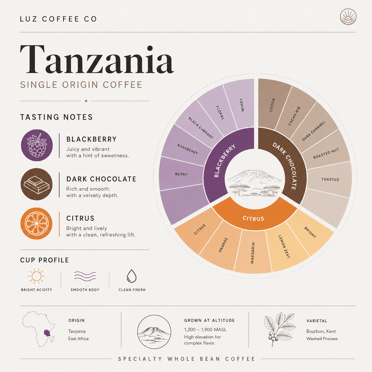 Tanzania Single Origin Coffee | Medium - Light Roast - Luz Coffee Co