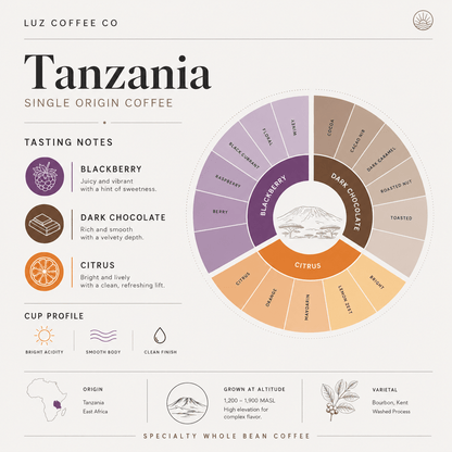 Tanzania Single Origin Coffee | Medium - Light Roast - Luz Coffee Co