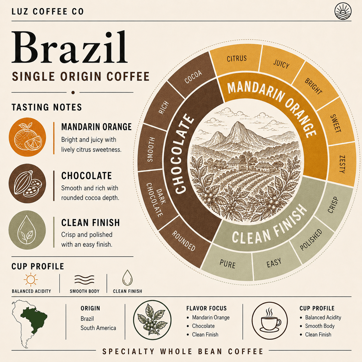 Brazil Single Origin Coffee | Medium Roast - Luz Coffee Co