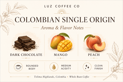 Colombian Single Origin | Medium Roast Whole Bean Coffee - Luz Coffee Co